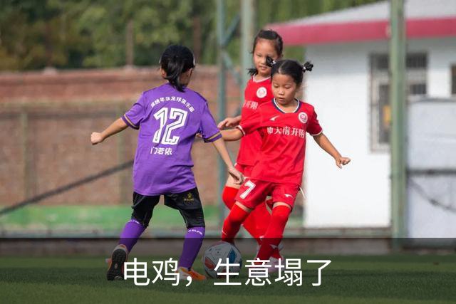 电鸡，生意塌了