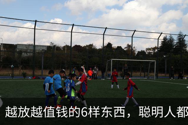 越放越值钱的6样东西，聪明人都囤了，看看你家有没有？
