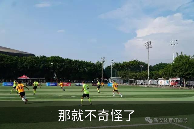 那就不奇怪了